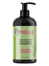 Mielle, Strengthening Shampoo, Rosemary Mint - ZM Cosmetics
