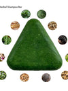 Green triangular shampoo bar with circular images of herbs around it on a white background


